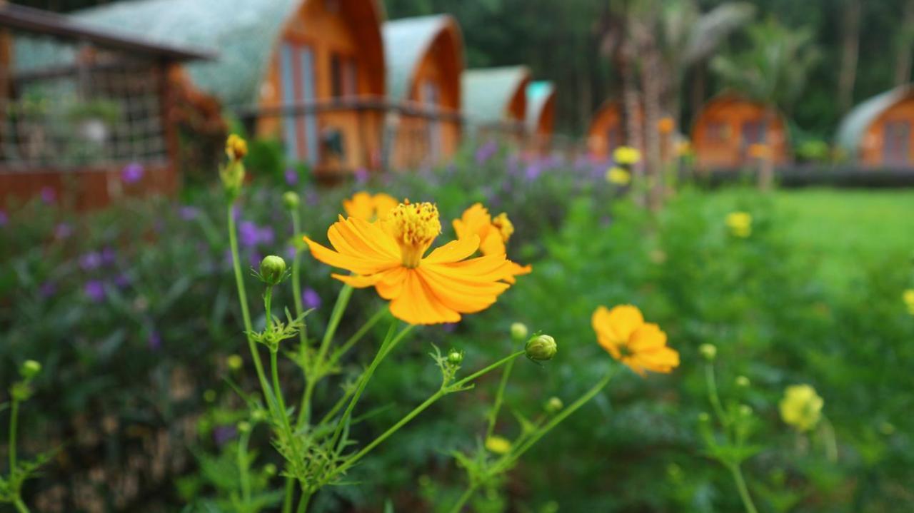 Chay Lap FarmstayBo Trach エクステリア 写真